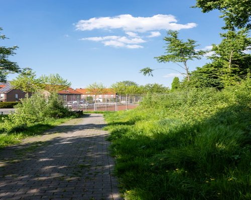 Quiet pedestrian path in a residential area surrounded by beautiful local greenery